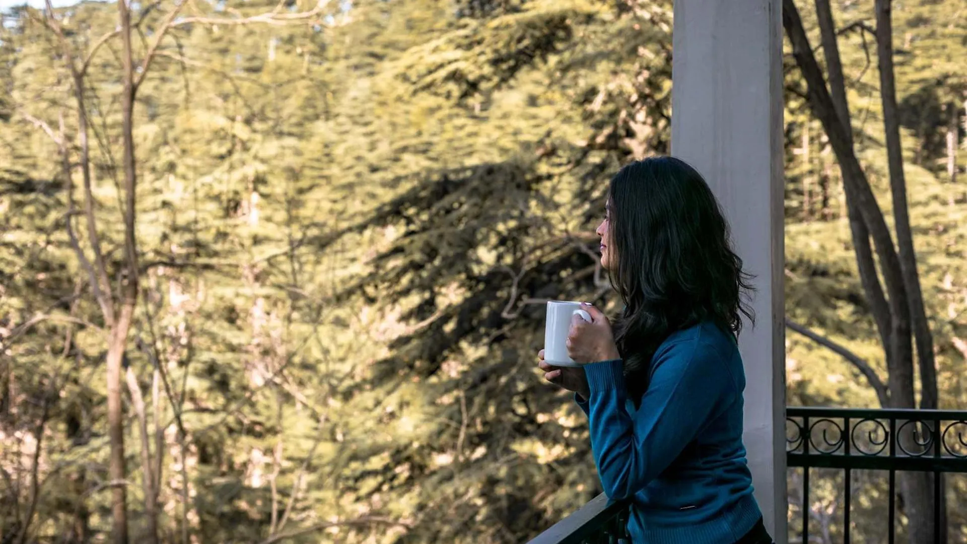 Stayvista At Pine Estate With Outdoor Jacuzzi Shimla Villa